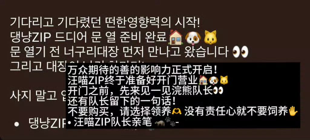 追金善旴这么久第一守则一定是相信他支持他做的决定其实从23年就已经开始在思考尝试