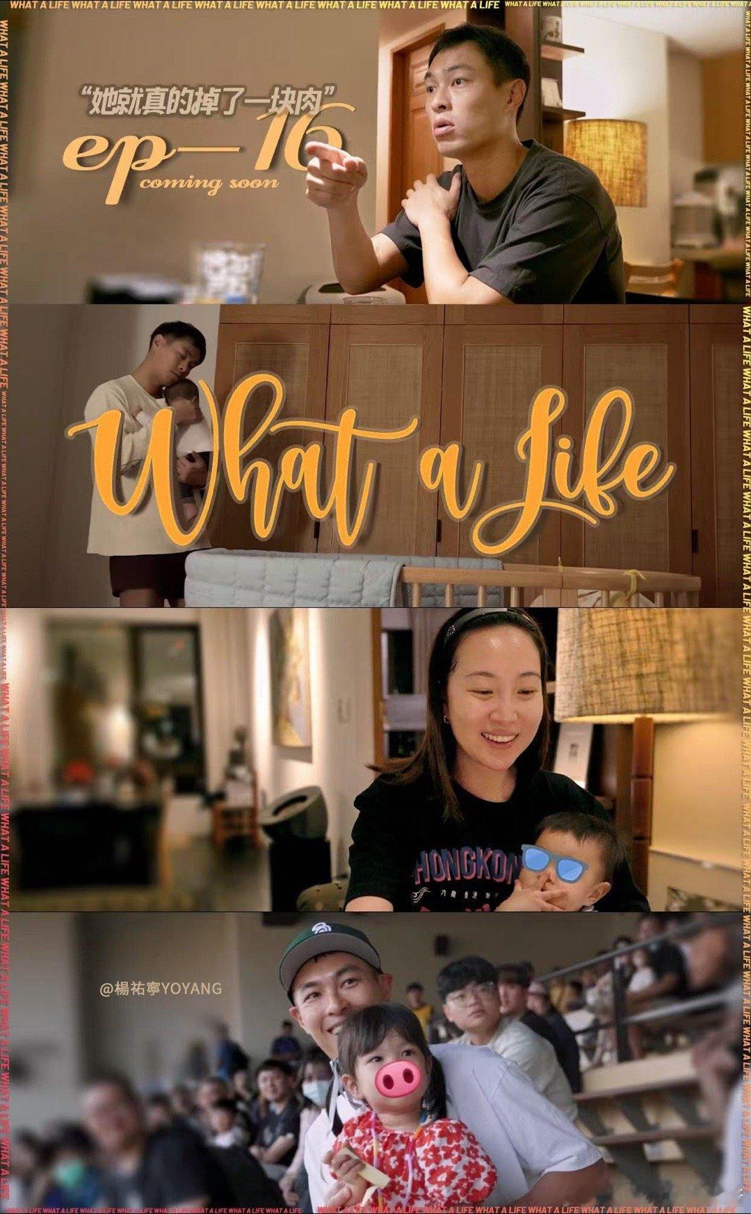 杨祐宁 ✖️  whatalife 第四季 EP16👉🏻她就真的掉了一块肉 
