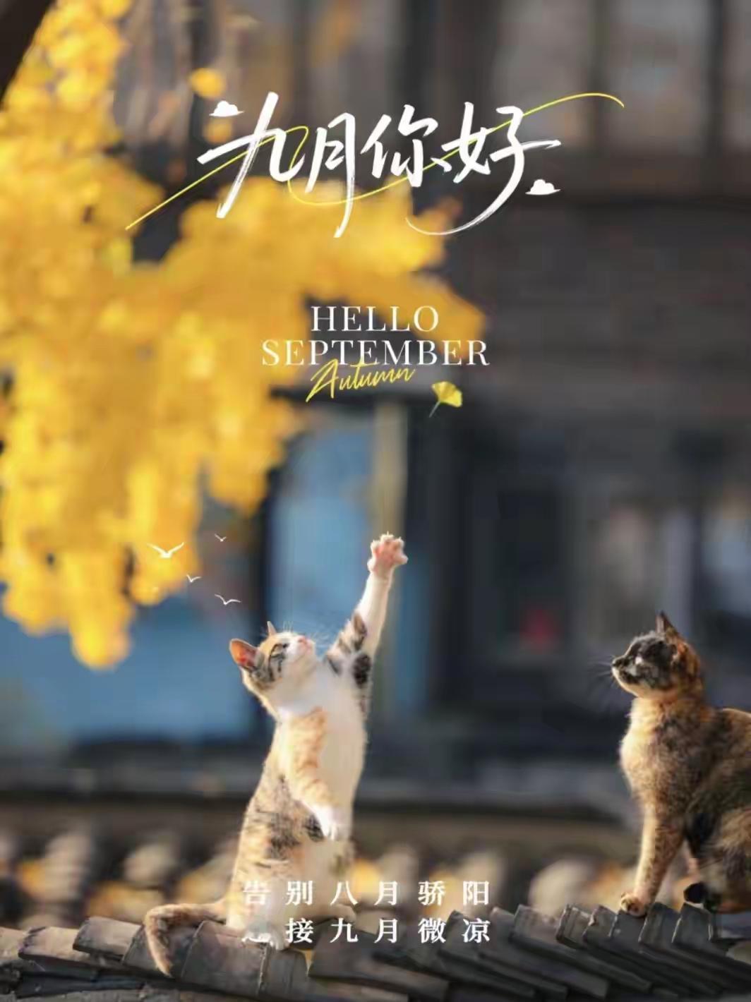 早安，你好！九月的第一天。所有的遗憾，都成过往，新的期许，拥抱未来。

九月你好