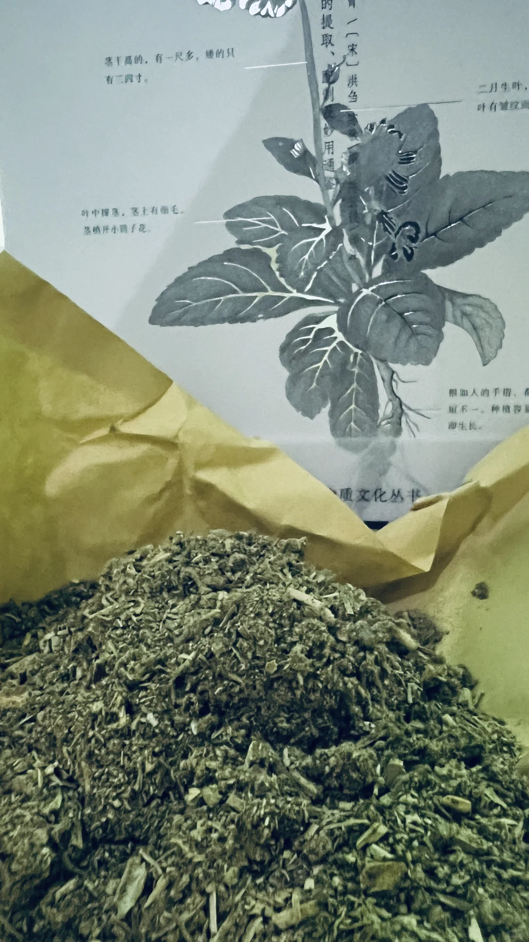 端午植物染小香包｜高粽状元，钱途似锦