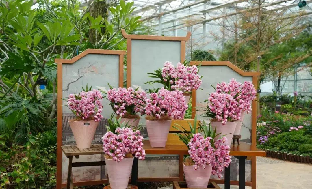 以前那个能扛一天活儿，中午不歇班的自己，好像彻底不见了
现在别说加班，多走两步路