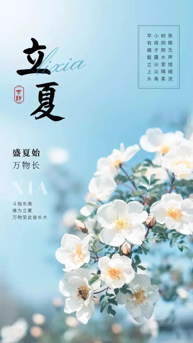 立夏初临万物昌，
微风轻拂送花香。
愿君岁月常青翠，
幸福安康福满堂。

新荷出