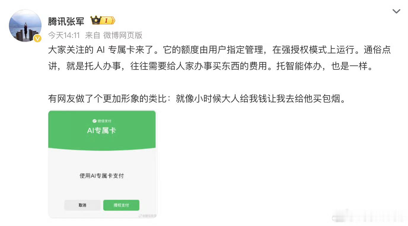 AI支付微信也开始搞AI支付了帮家里人办事买东西听这意思有点像  智能化AI亲属
