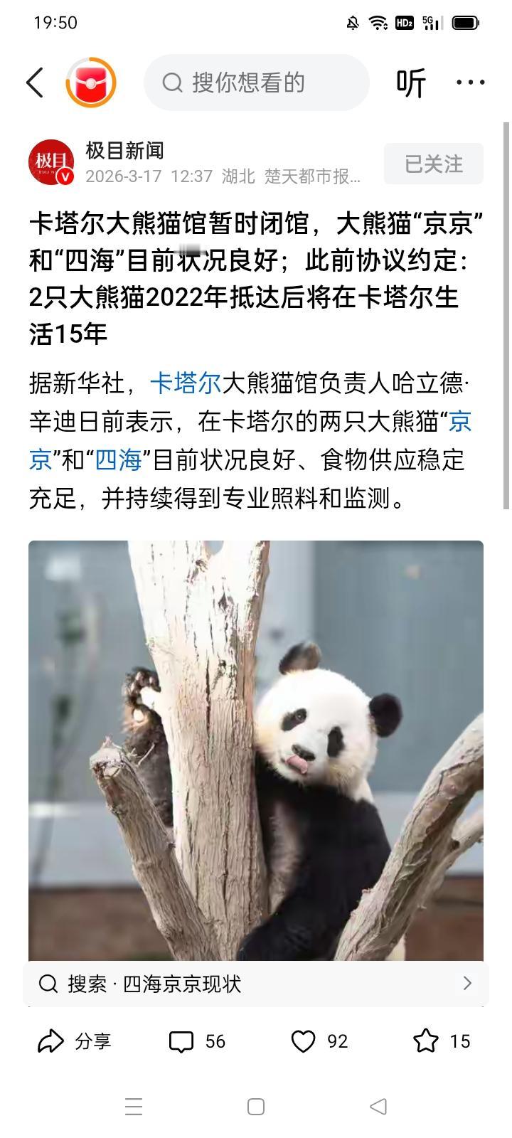 京京和四海要在卡塔尔居留15年！合适吗？
＊卡塔尔有很多美军，去年以色列悍然出动