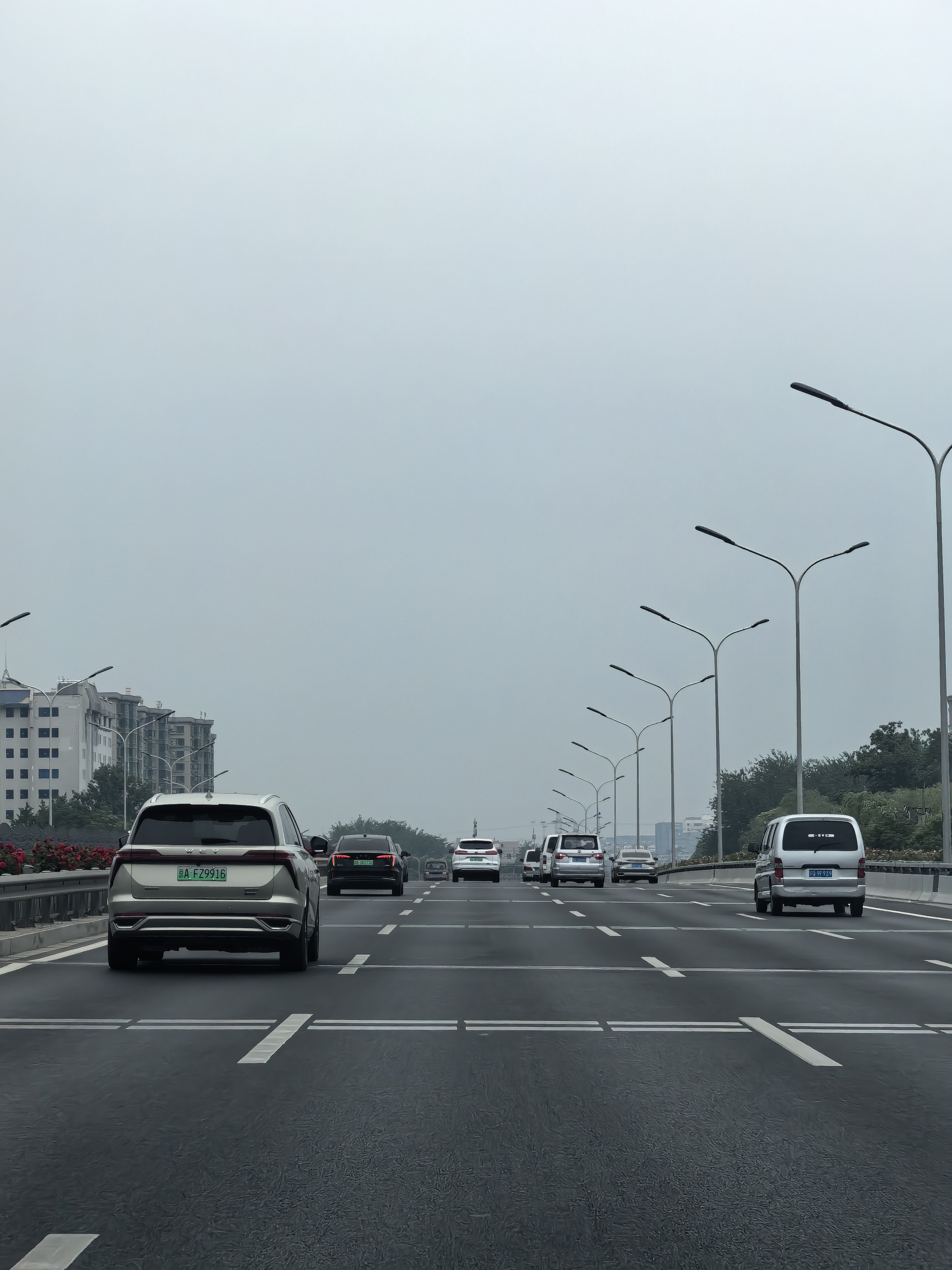 早，周末去哪耍？ 
