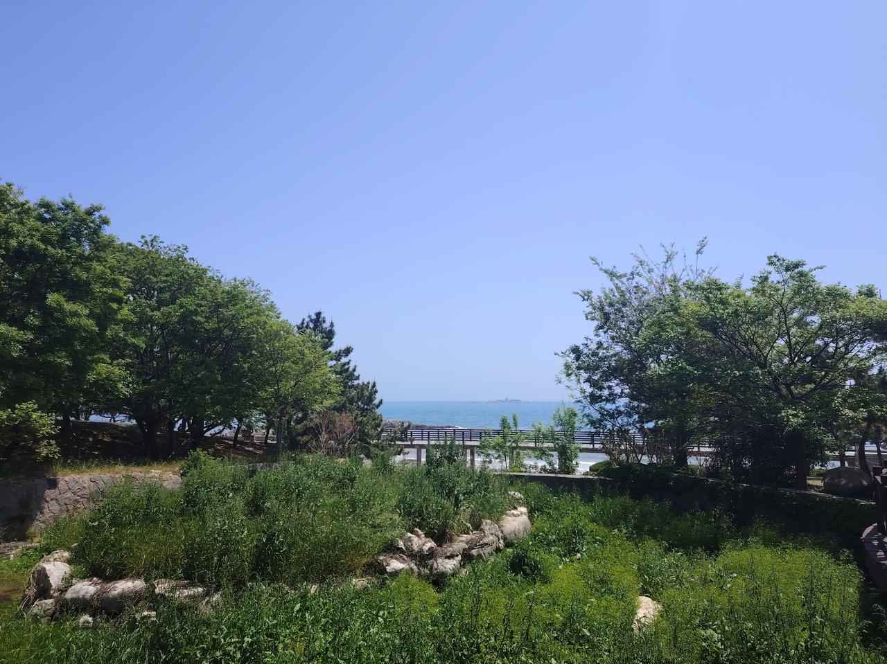 蓝的透亮，绿的发亮，海天一色，初夏的味道！