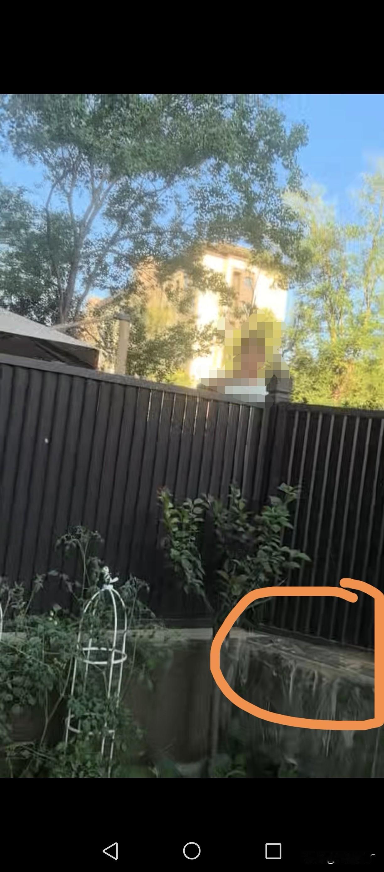 我跳起脚骂了邻居一顿，唉，我真是个全才，会背莎士比亚的原版英文十四行诗，也会泼妇