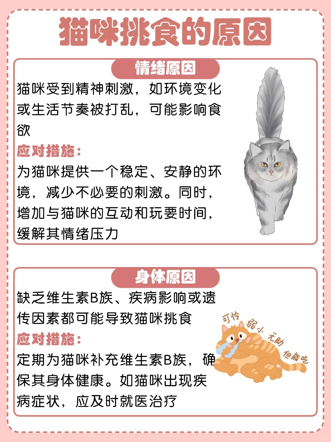 🐱猫咪为什么挑食？原因大揭秘❗