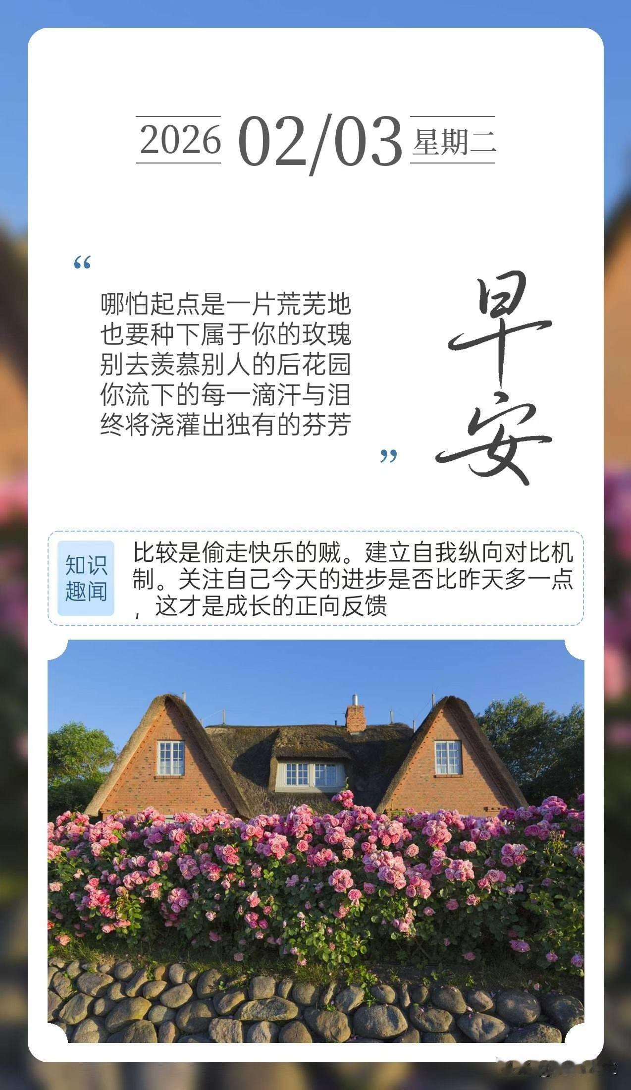 哪怕起点是一片荒芜地
也要种下属于你的玫瑰
别去羡慕别人的后花园
你流下的每一滴