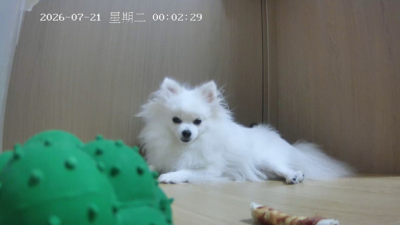 晚安宝宝 
