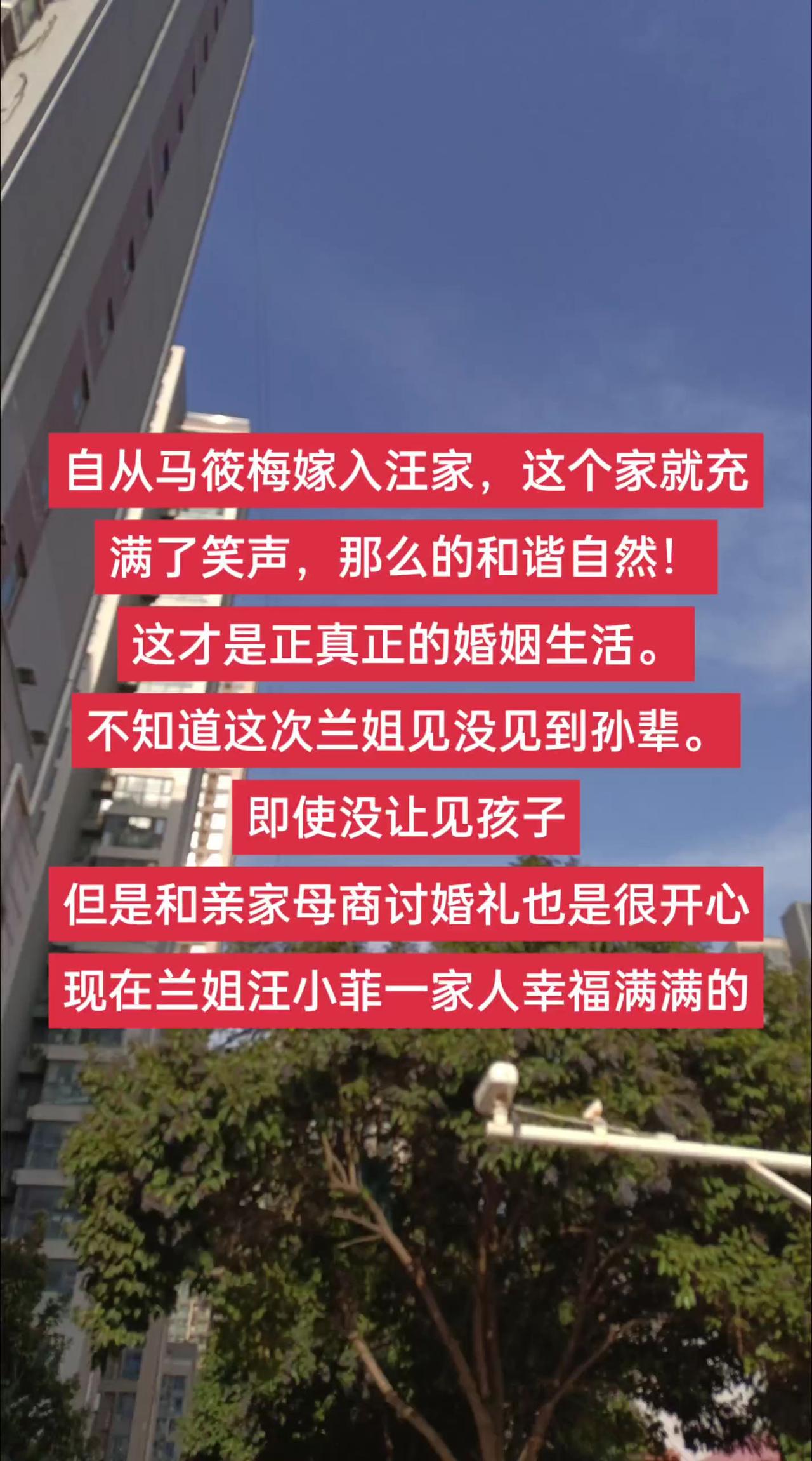 张兰汪小菲