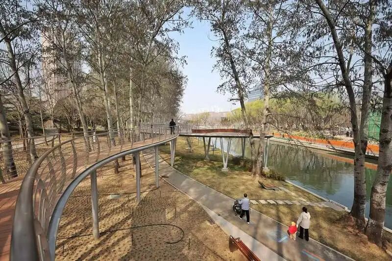 北京花溪觅春：樱花河惊艳亮相，多处滨水空间成“赏花长廊”