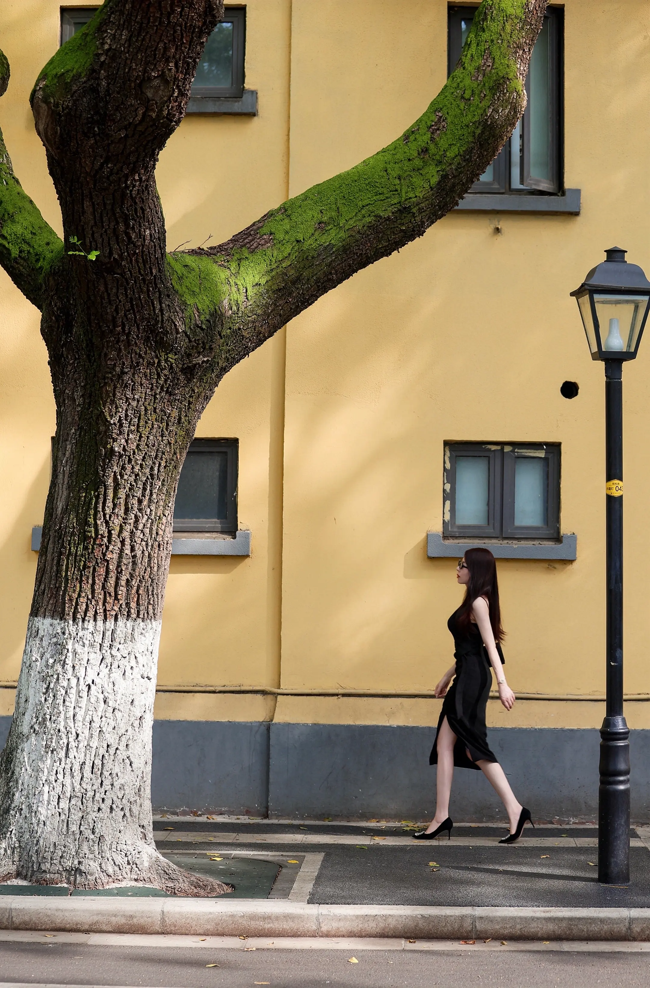 夏天 南京 颐和路