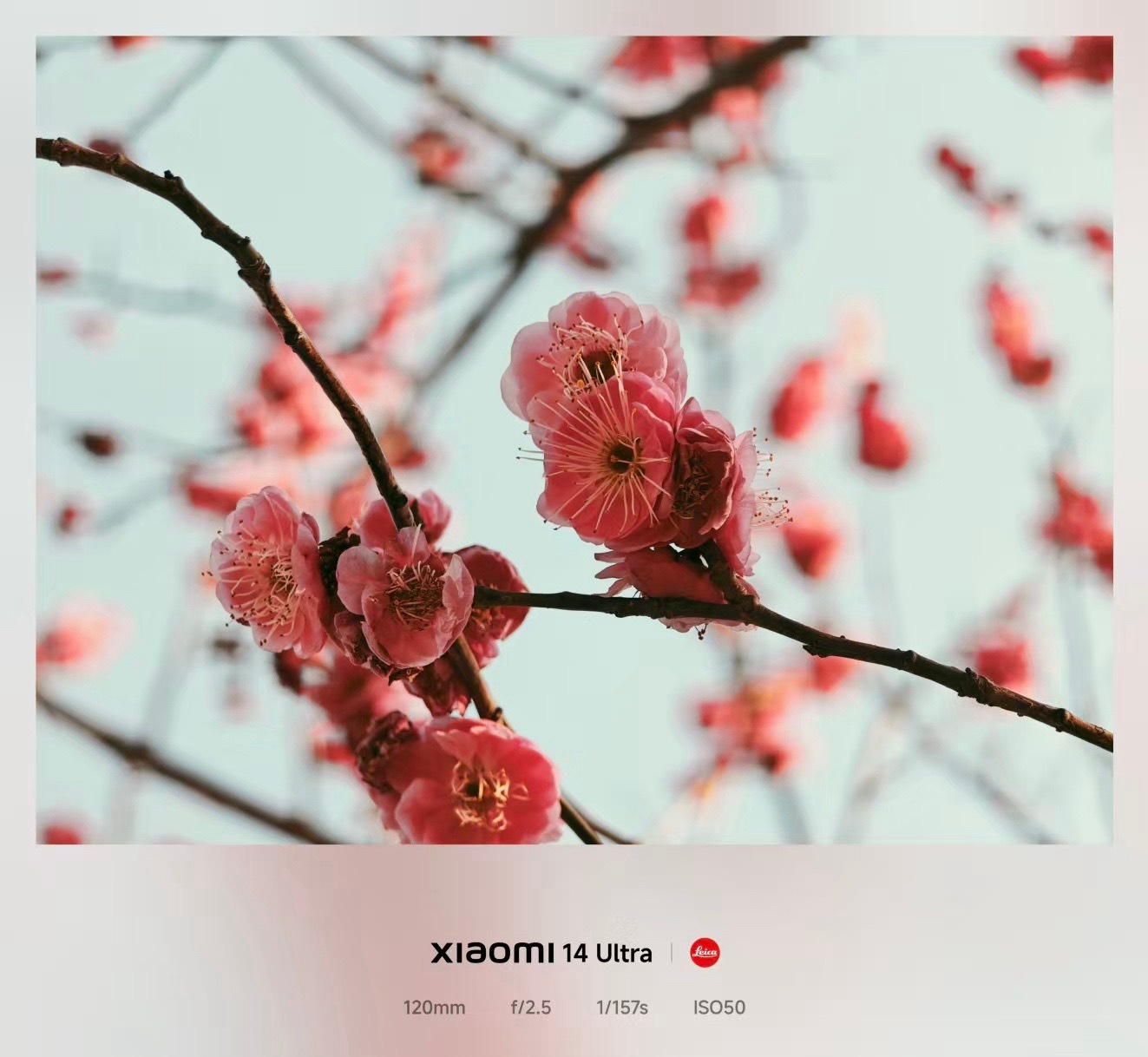 分享一波春节假期随手拍📷 