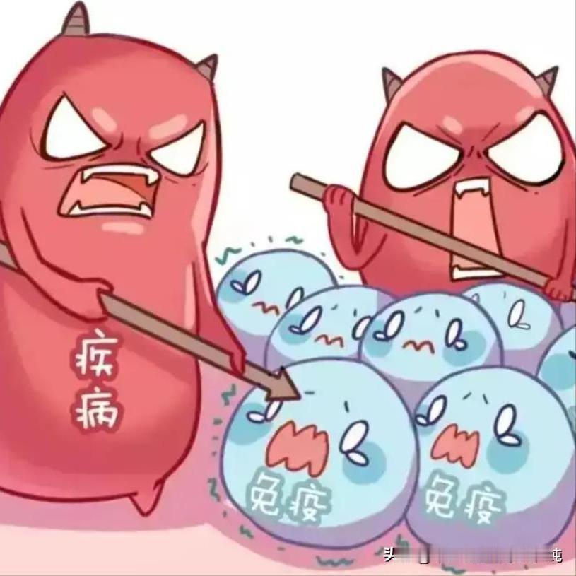 免疫力低 身体疲乏？这4味中药，帮你补虚！
大家好，我是中医刘博纯！
肿瘤患者经