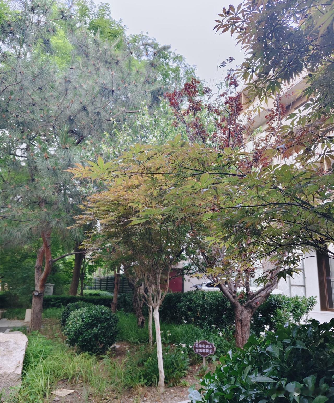 前不久去了一趟医院的重症监护室，看着屋子里躺满了生活不能自理的老人，我突然意识到