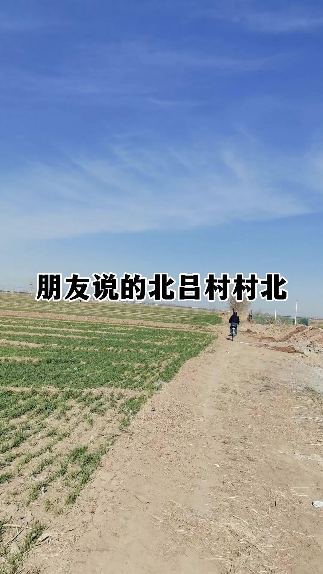 🌿辛集马章村的老水闸，藏着一群人的热血青春。上世纪五十年代末，寒冬腊月里，数万