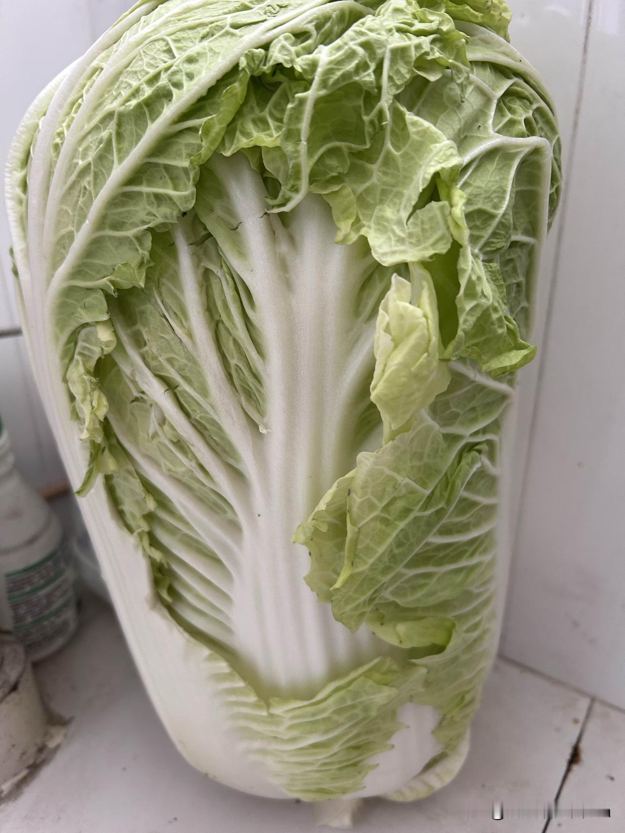 好心疼自己的胳膊

肩周炎有四个月了，不抻不拽不压就不疼，可昨天真是的啊🙂‍↕