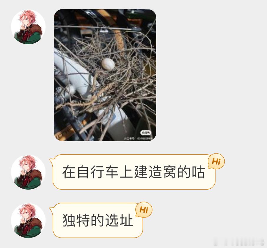在自行车🚲轮子上筑巢的珠颈斑鸠也是不挑地方[融化] ​​​