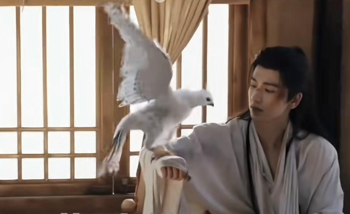 谢征的海东青是“万鹰之神”，十万只神鹰里面才能出一只，确实是价值百两的。

在现