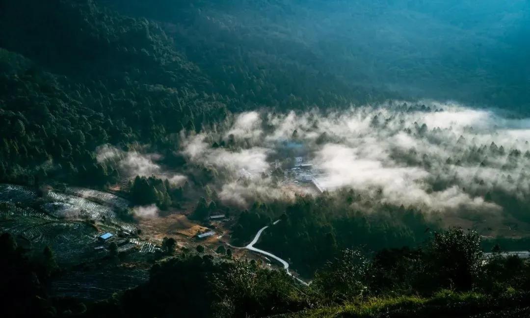 墨脱背崩村、格林村、邦固村、江新村、德兴村、墨脱村、亚让村……我都去了。

我印