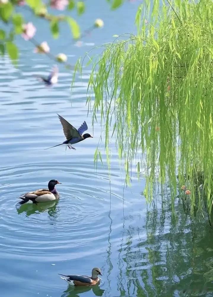 浣溪沙《相伴安康》

老去知音意共鸣，
频频相问见真诚。
平生心事有人听。

笑