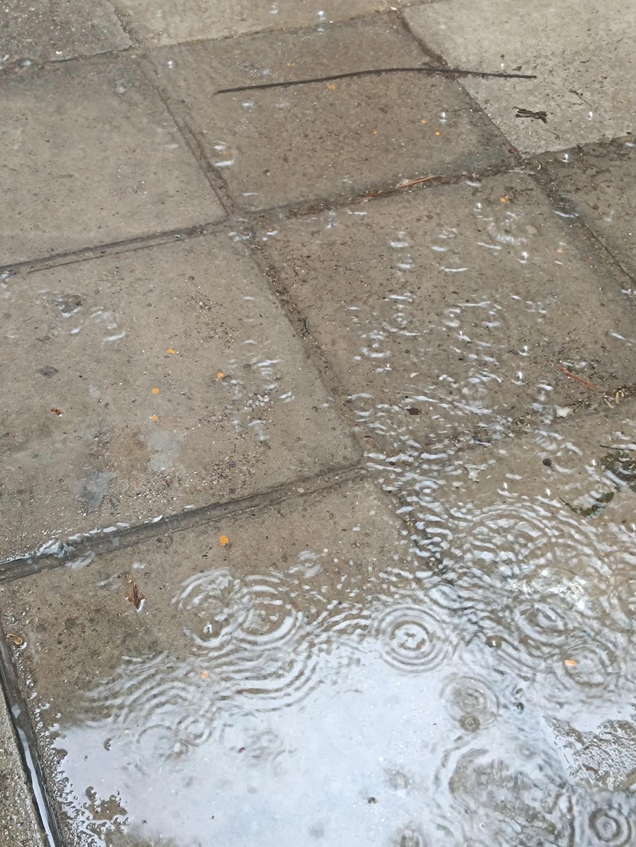 昨天下完雨，气温真的是非常非常低啊，这样的温度真的是非常适合高考考生发挥啊，祝愿