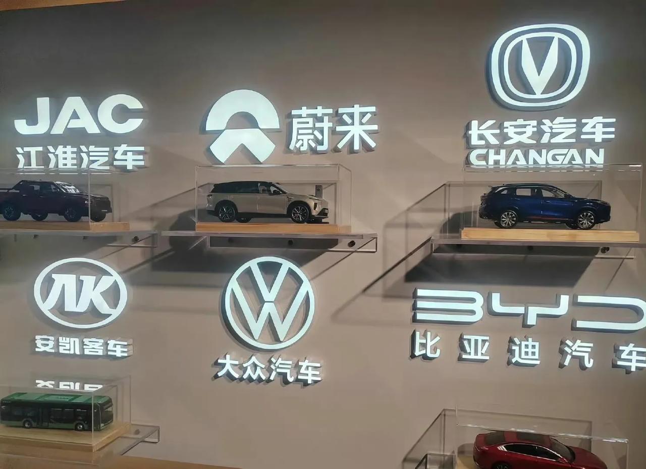 合肥现在已经变成汽车之城
六大汽车品牌，还有个华为汽车
单单汽车产业，合肥就可以