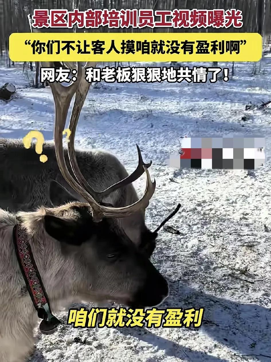 近日，内蒙古根河市鄂温克民族乡一农民家的驯鹿园区里，老板跟自己的小路对话说你们不