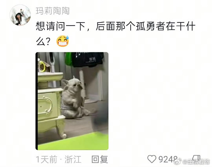 3000块街舞课狗狗学了2900近日，萌犬陪练小主人跳街舞的暖心趣事刷屏网络 