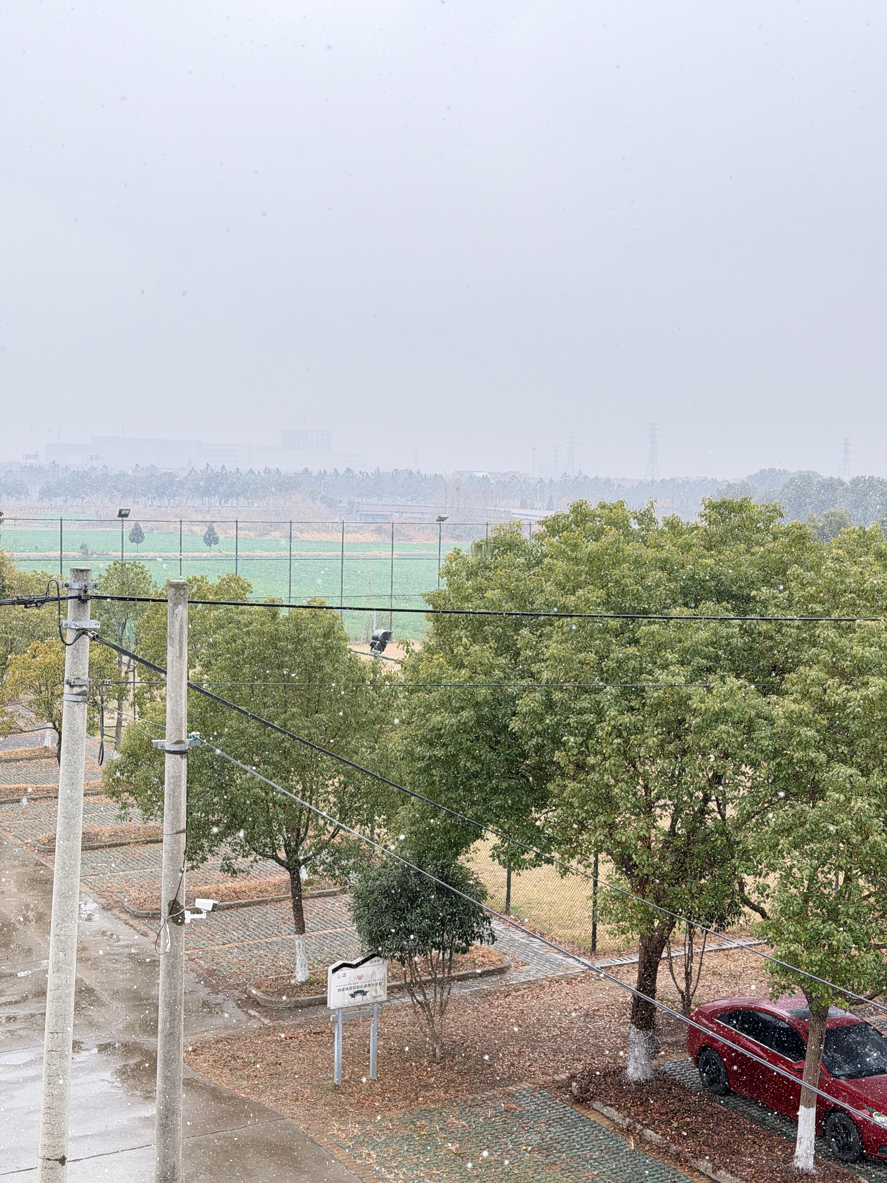 杭州下雪出门一看真的下雪了诶！ 杭州