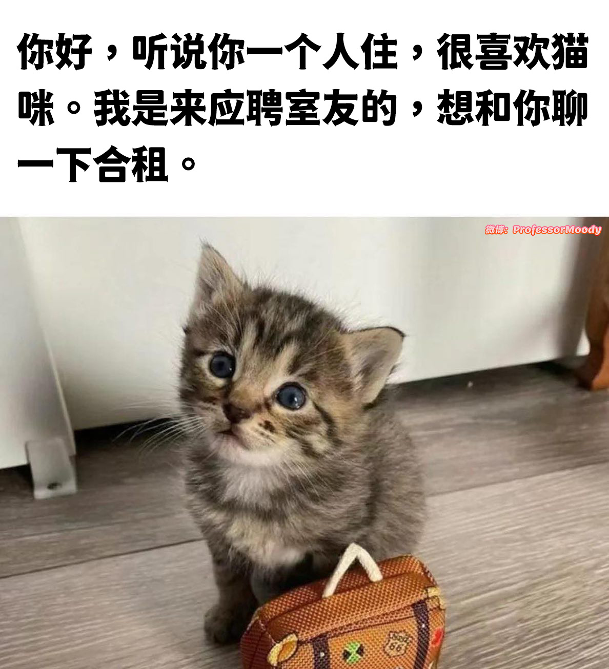 不用聊了直接入住！ 
