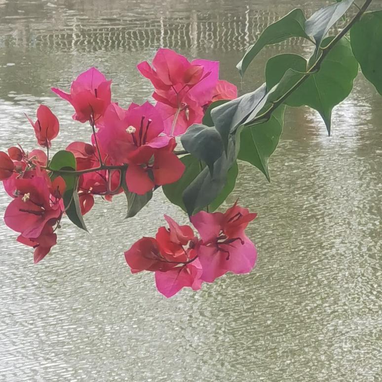 一个朋友跟我说，他现在后悔死了。我问他为什么？他说，一年以前他借了一笔钱给一个朋