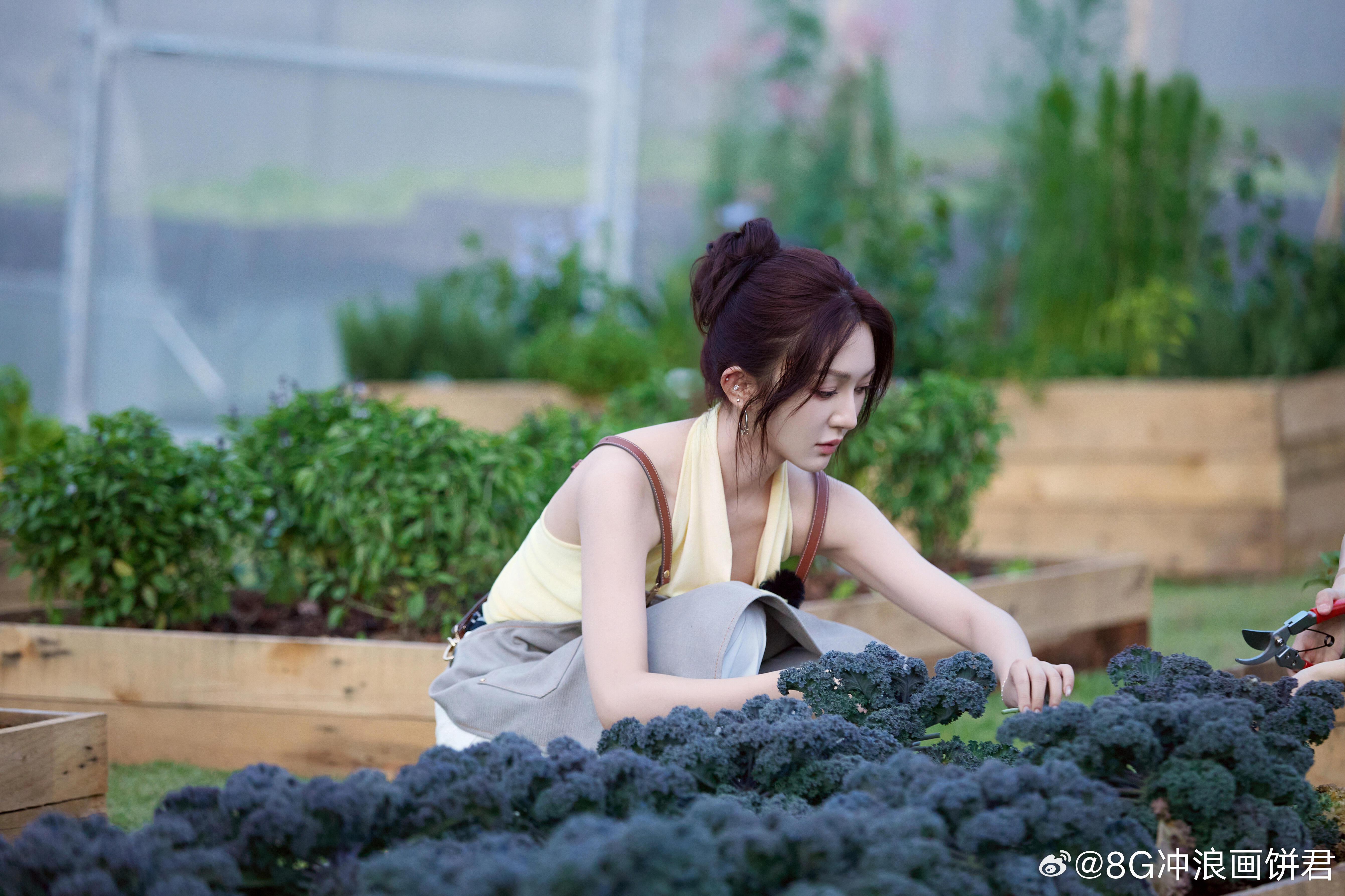 靳梦佳中餐厅做了湖南特色菜中餐厅10谁看了不说一句靳梦佳是隐藏大厨！在《中餐厅1