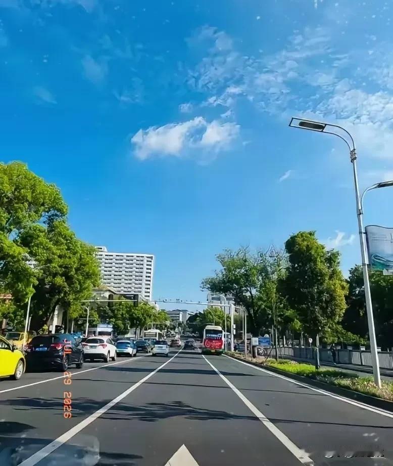 通知一下，大家好有个心理准备，
今天，7月29日已经正式进入中伏第五天了，而且今