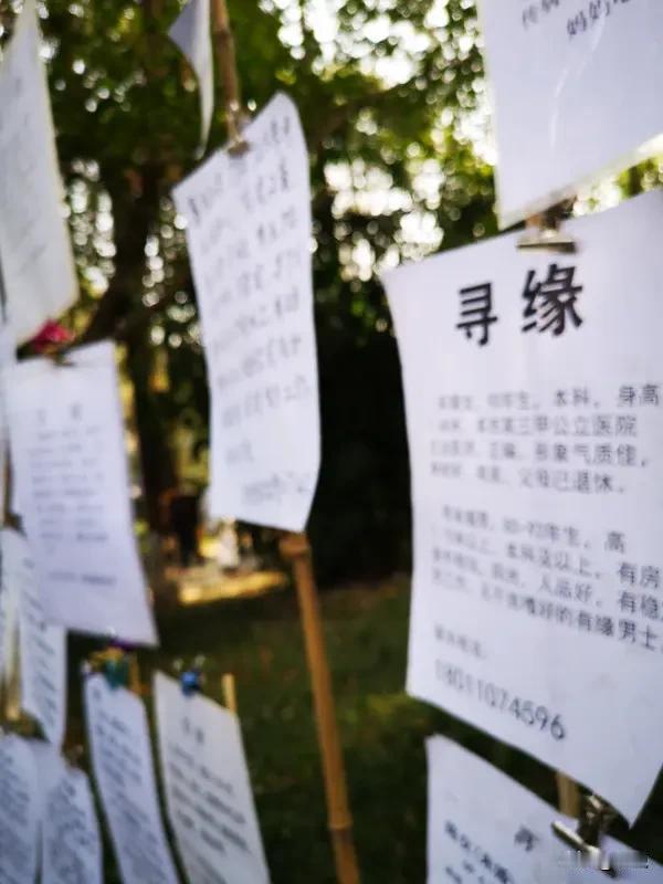 见过十个女孩，只有一个正常的。
听到这句话，我接不下去了，说是给他介绍对象的，他