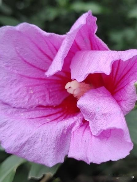 一起对上联喽！
[彩虹][彩虹][彩虹][彩虹][彩虹][彩虹]

上联：月月顺