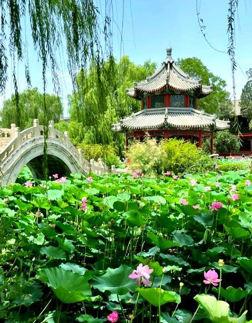 11月18日至21日，在土耳其icon伊斯坦布尔icon阿牟西拉市举办的第23届