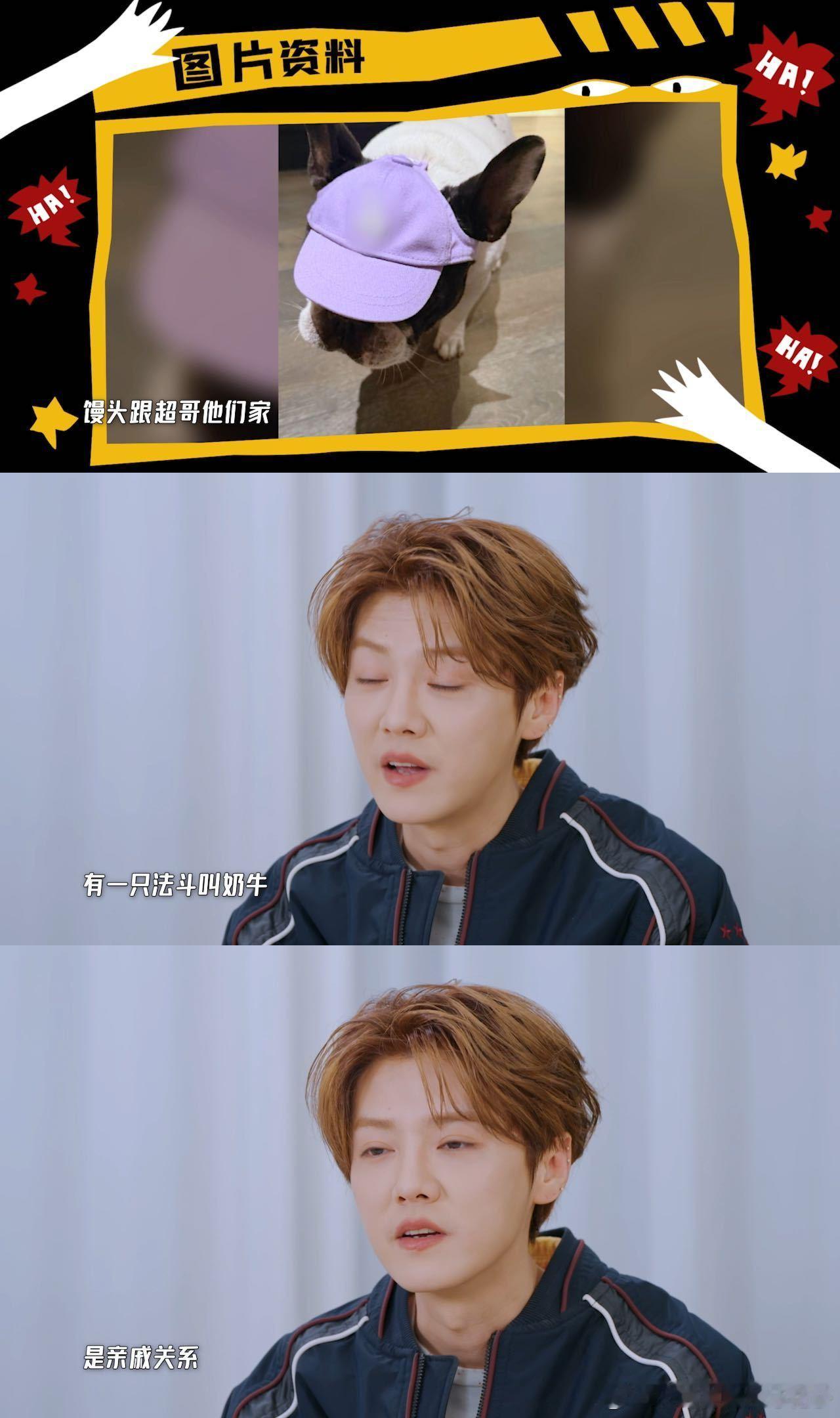 鹿晗担心馒头会去世鹿晗的狗和邓超的狗是亲戚 鹿晗在节目里提到担心馒头，是因为邓超