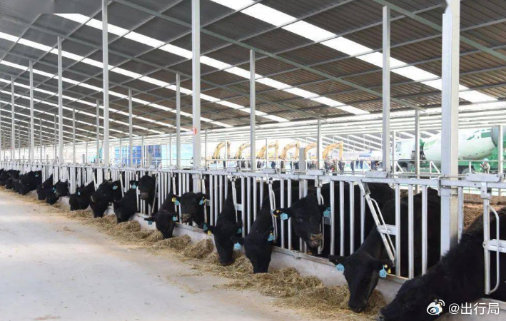 新能源车能够越来越流行起来，能够随时随地提供小憩的环境也很重要，相信不少打工人都