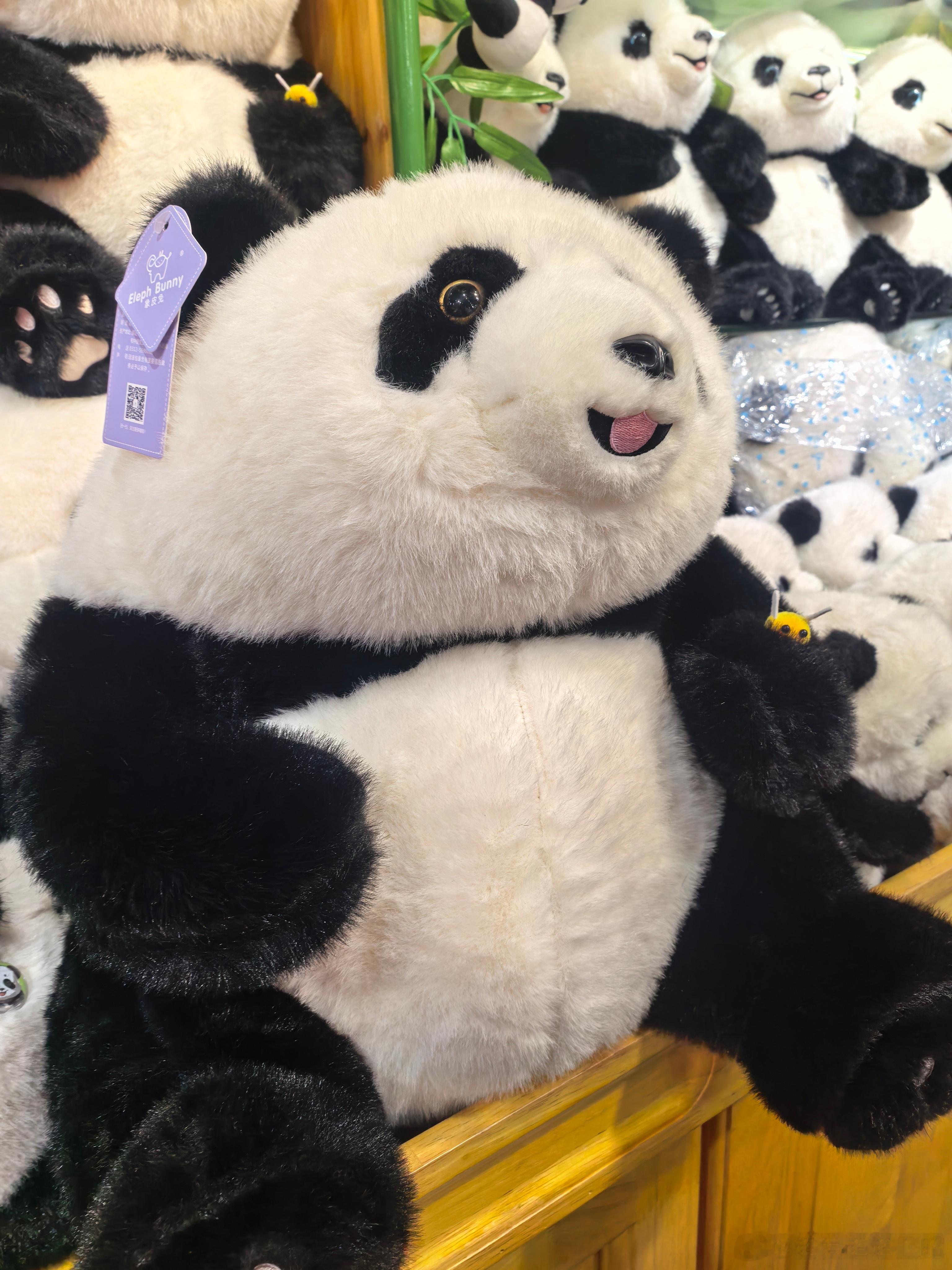 熊猫守护者 ①☀️极好 764，🉑蹭  ，🈲快🧱②与极好的人hu动或🧱?