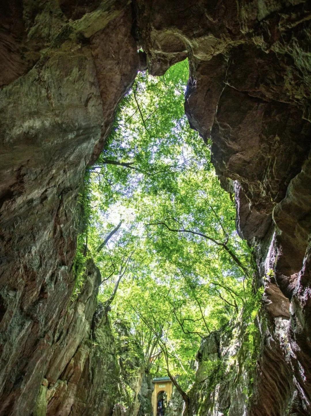 🚇地铁直达！八分山轻徒步超治愈
武汉八分山位于江夏区纸坊街道，海拔272.3米