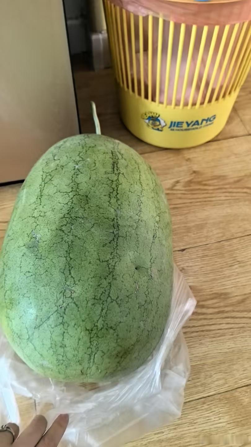 五毛一斤的大西瓜，好好吃啊，我公公刚买回来的是不是很诧异还有五毛一斤的西瓜物价，