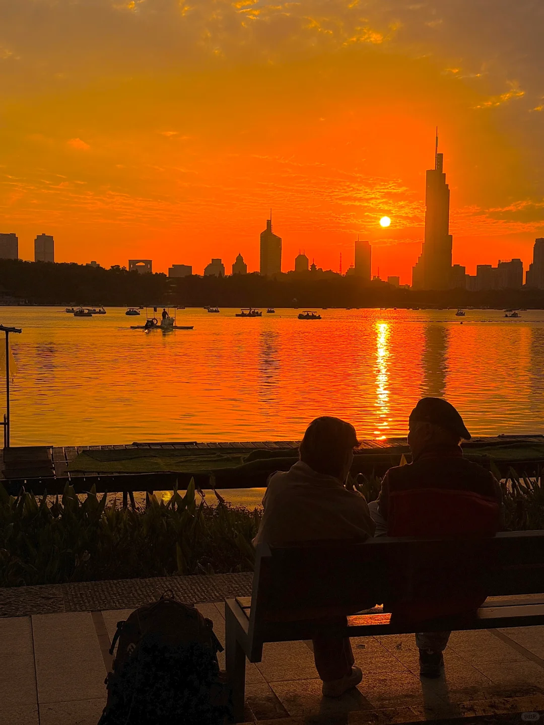 10.20实拍live图🌇玄武湖的橘子海