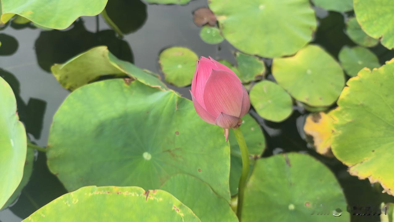 前天来了两位女士两个孩子，一个是孩子母亲，一个估计是孩子奶奶，他们是询问暑假班开