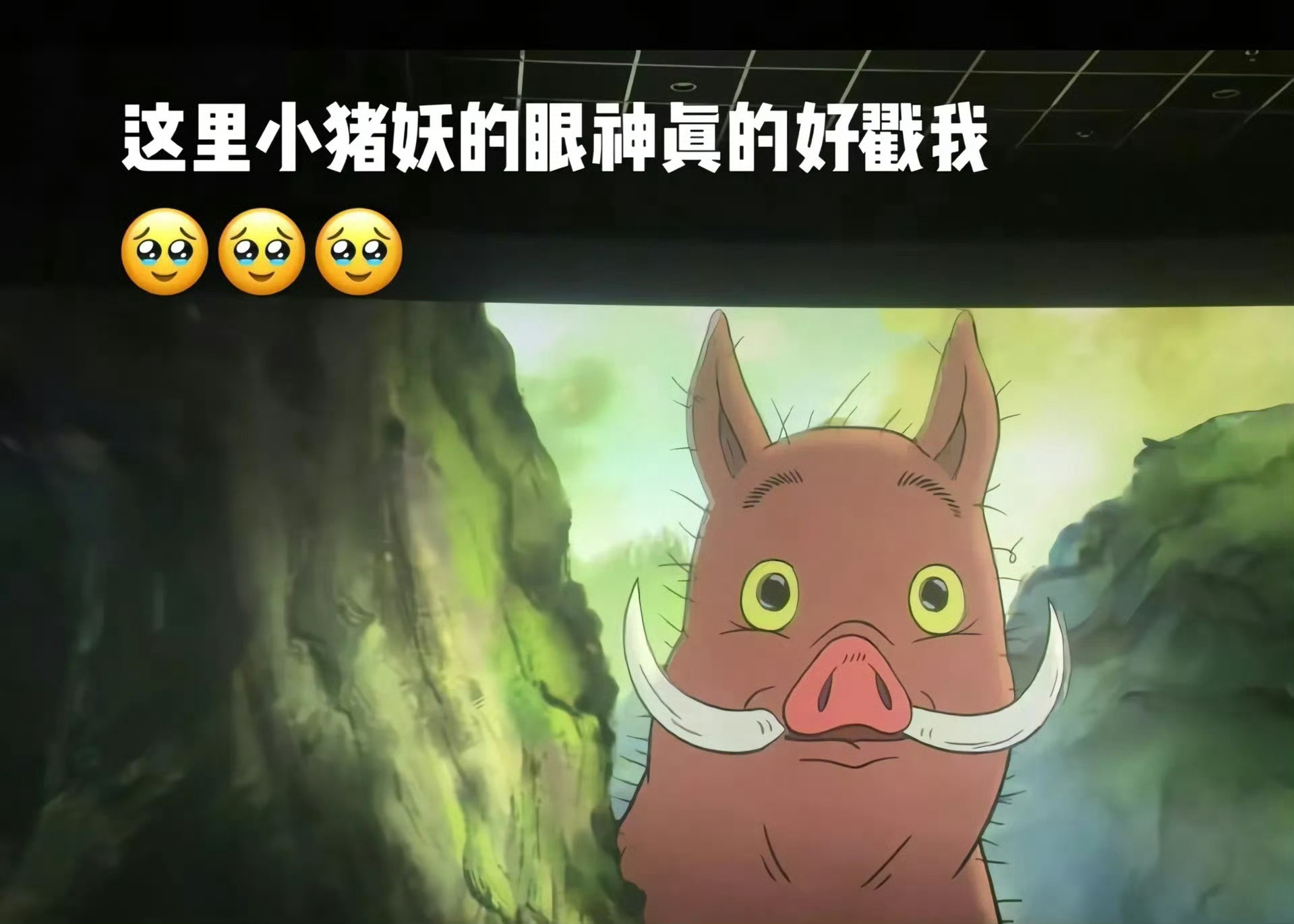 平复完心情了，明天上班眼睛会肿，我已经是《浪浪山的小妖怪》胫骨了，也是小猪妖的胫