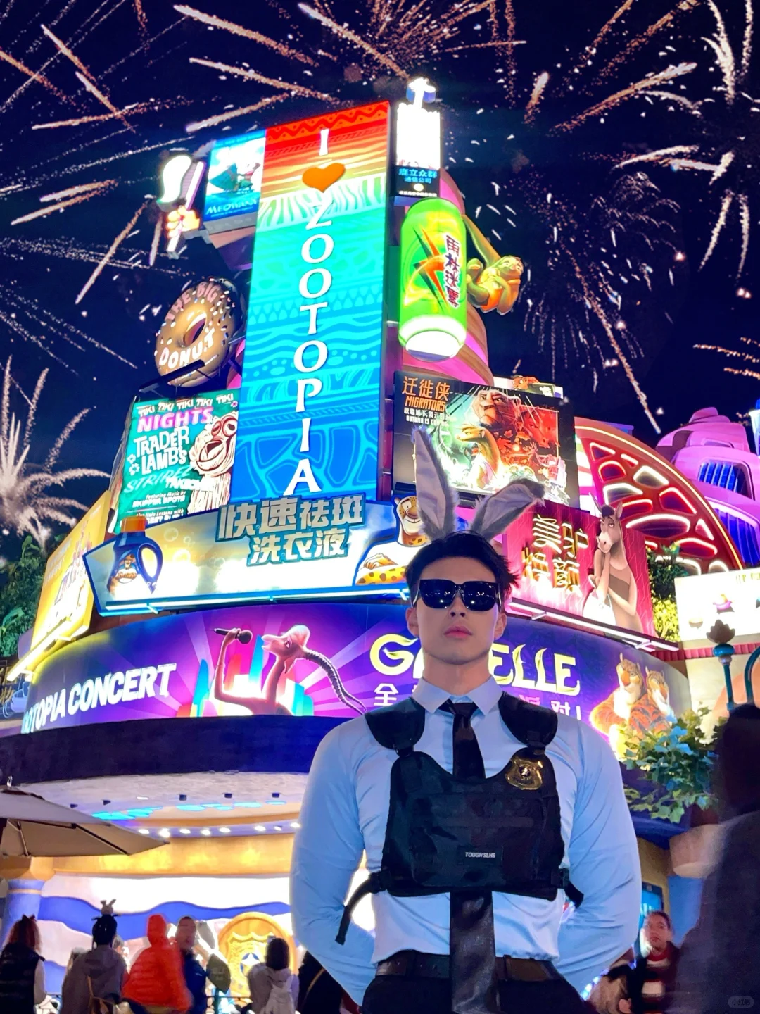 🐾疯狂动物城🦊🐰执勤🚓