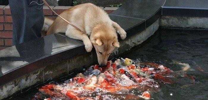 ☁☁️️☁️️ 今天星期五（2025年10月31日，农历九月十一）天气播报：南宁