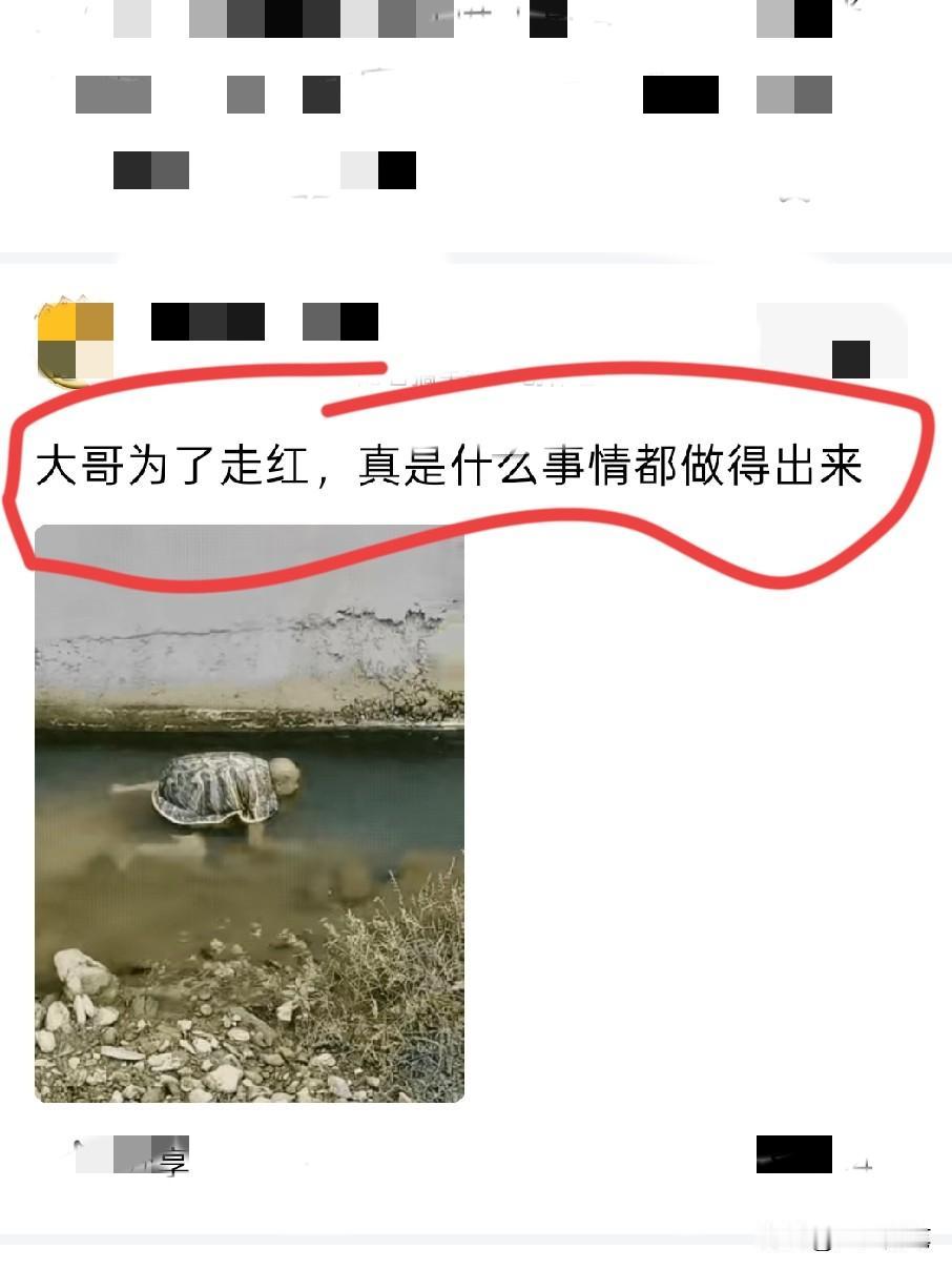 为了流量也是拼了，龟壳都装上了。