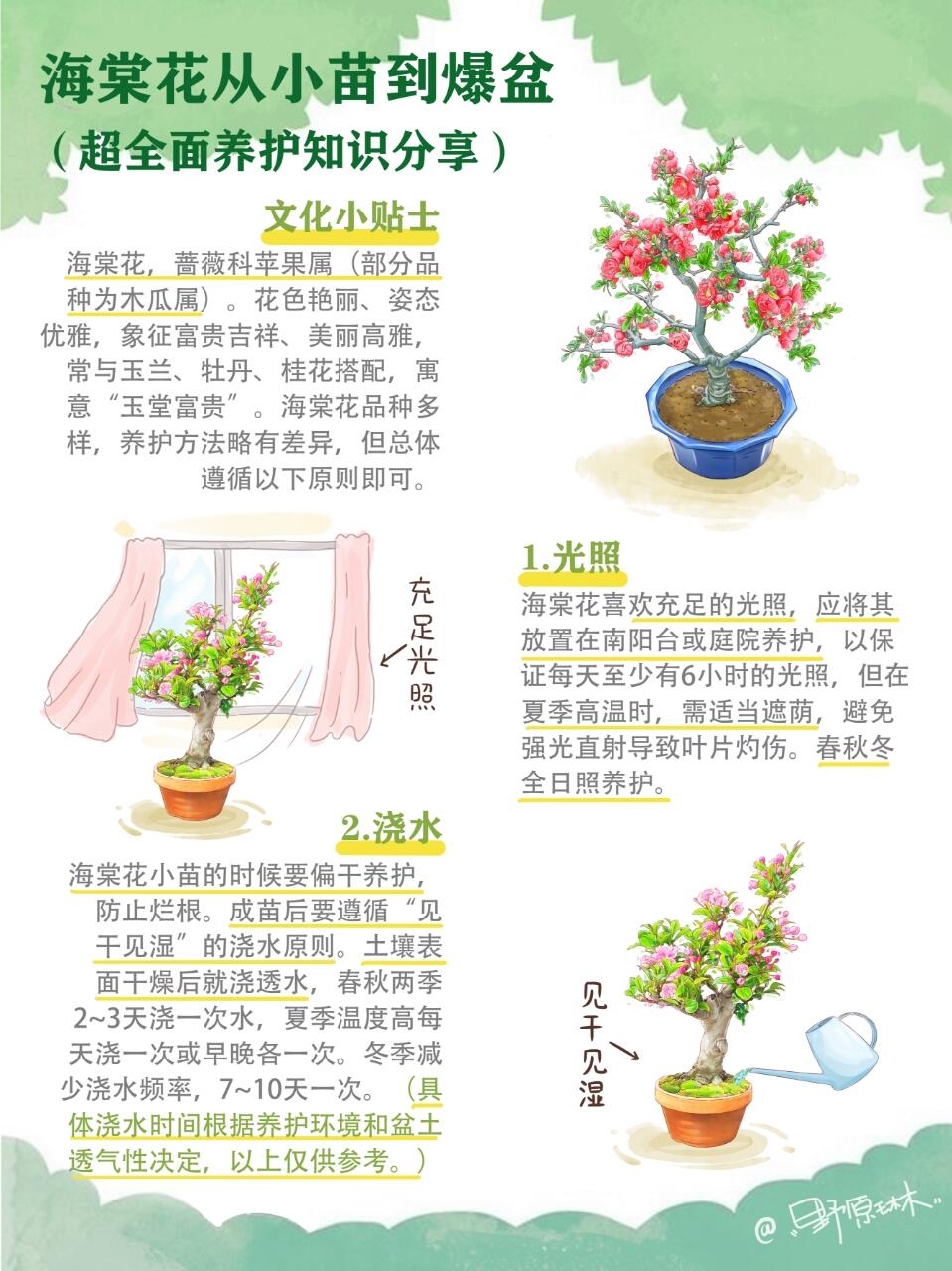 海棠花全面养护知识分享